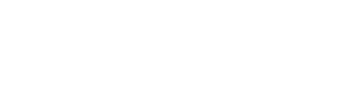 digital canvaas white